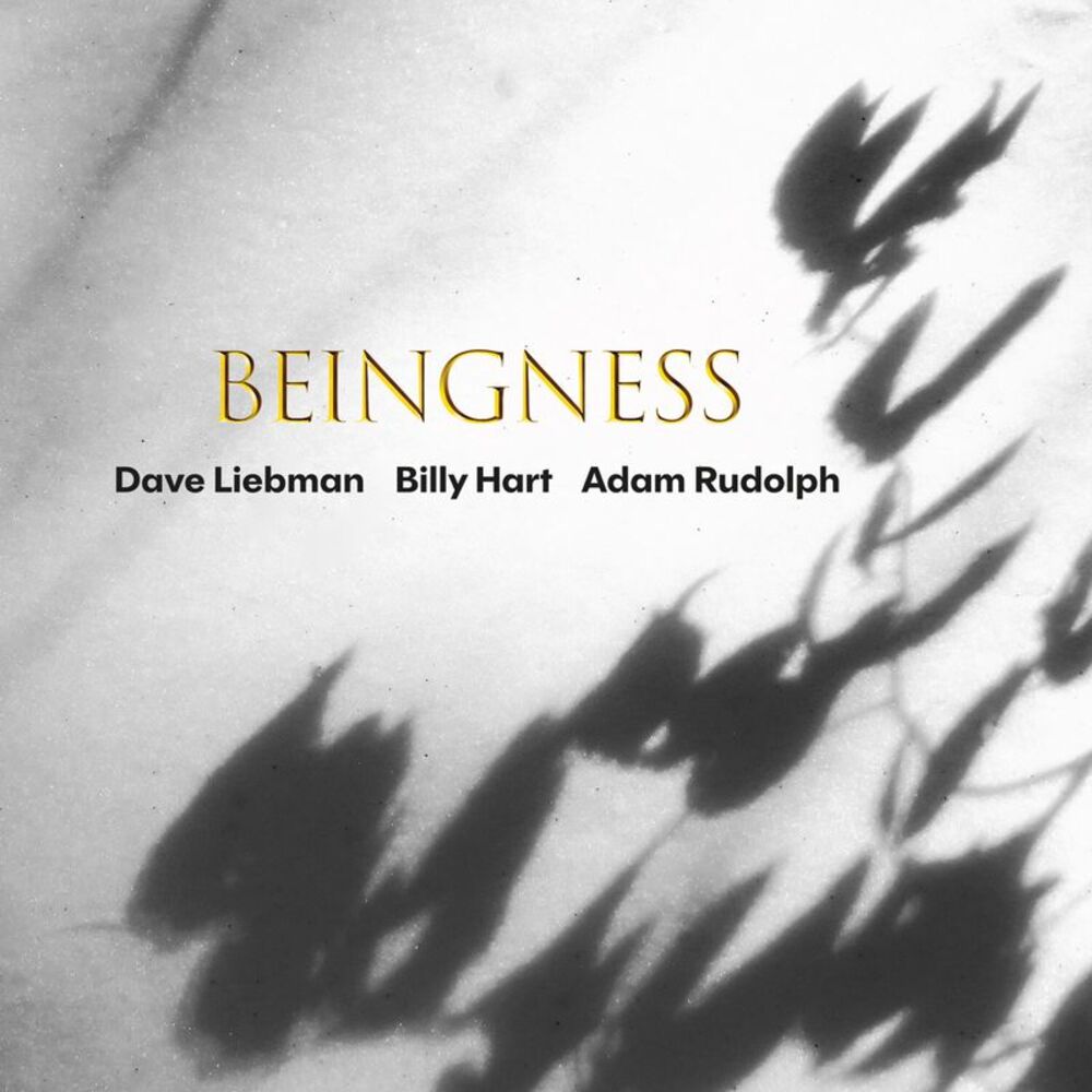 Dave Liebman - Beingness  CD